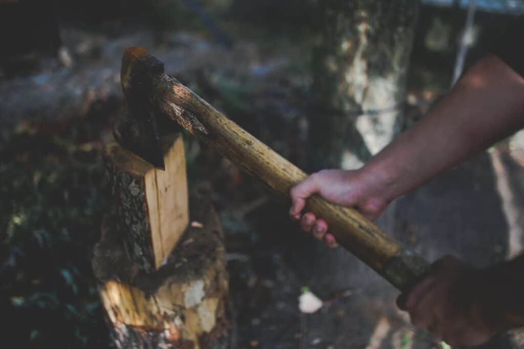 An expertly lodged axe in rustic wood, reminiscent of axe throwing fundamentals mastered through time.