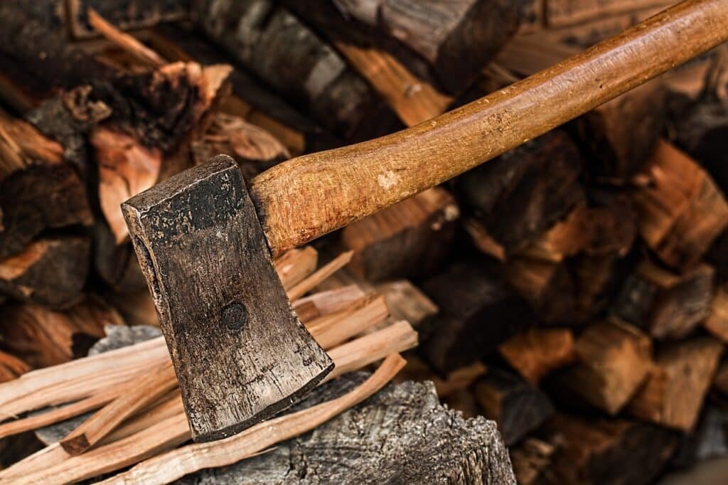 A visual representation of axe throwing fundamentals. An axe is firmly lodged in the freshly cut tree wood, showcasing the precision and technique required for successful axe throwing.