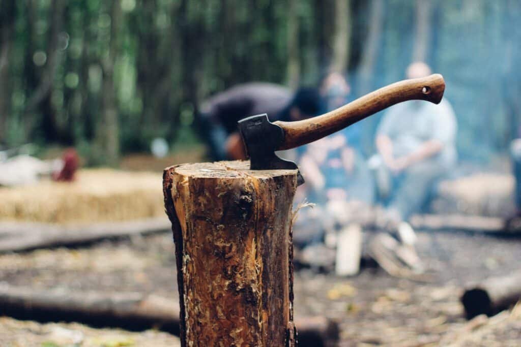 An axe expertly stuck into cut tree, showcasing the thrilling benefits of axe throwing for fun, skill-building, and stress relief.